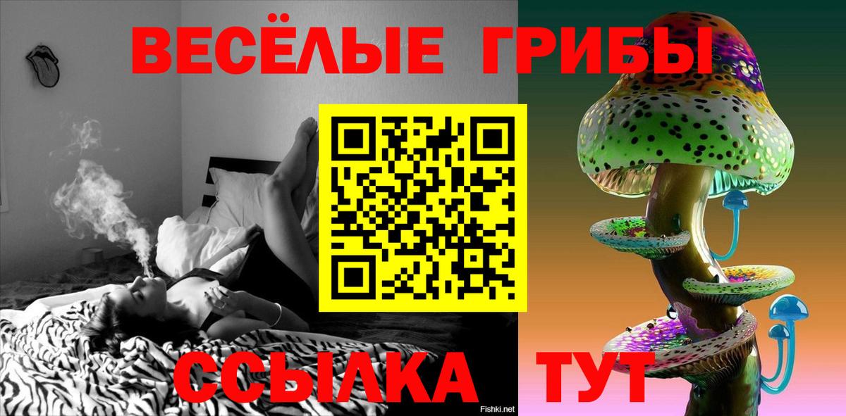 Канаш  Псилоцибиновые грибы Magic Shrooms  Вход с VPN  Псилоцибиновые грибы MAGIC MUSHROOMS 